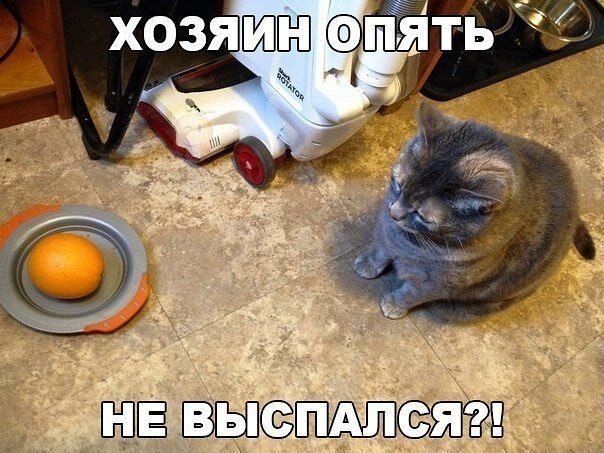    - 2  2020  19:06