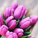 ���� ���, ������������ - ��������� 31 ���� 2020 � ������ ������ ��������