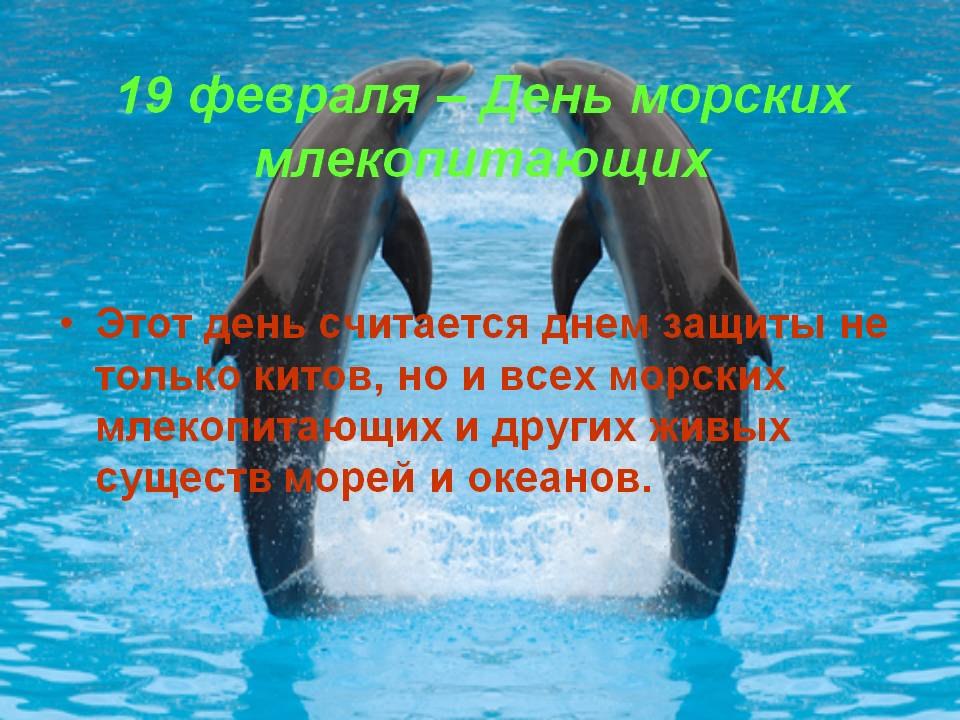   ,    . - 18  2020  21:38