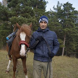 ��������, ����������, 45 ���