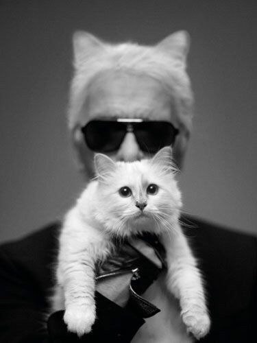    . .  1.   (Karl Lagerfeld, . ... - 3