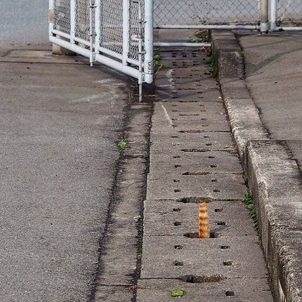   )) - 2