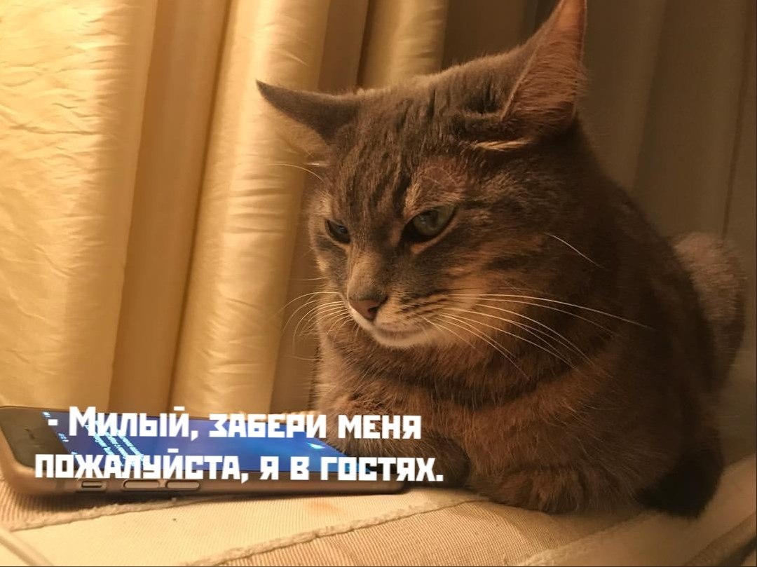       - 2  2020  18:42