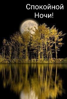   ,    . - 19  2020  21:54 - 2