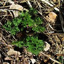 ������ ������... �� ������� ������