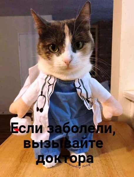    ) - 5
