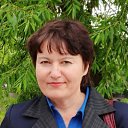 ���� ������, ������ - ��������� 25 ��� 2020 � ������ ���� ����������