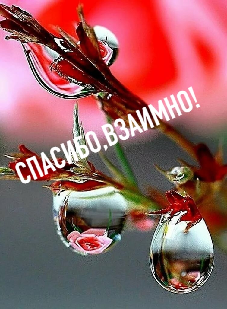   ,    . - 27  2020  20:21