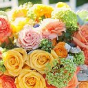 ���� ��������, ����� - ��������� 14 ������ 2020 � ������ ���������� ������
