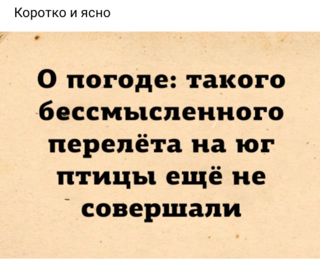 "БУМАЖНЫЙ ЗМЕЙ") - 16 февраля 2020 в 15:44