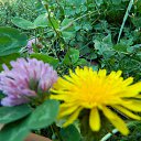 ���� @Skromnaychka@, ������ - ��������� 17 ������� 2020 � ������ ���� ����������