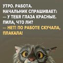 ���� �����, ���������, 41 ��� - ��������� 23 �������� 2020 � ������ ������ ��������