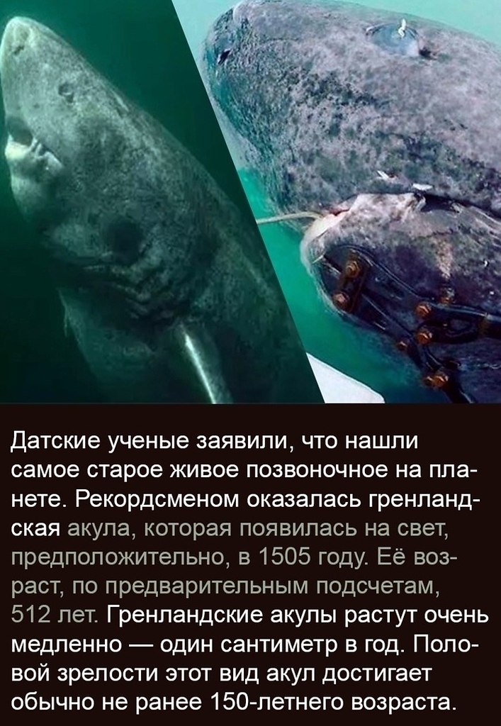 BEST | , ,  - 6  2020  19:07