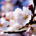 ���� ������, ������������ - ��������� 24 �������� 2020 � ������ ��������� ��������