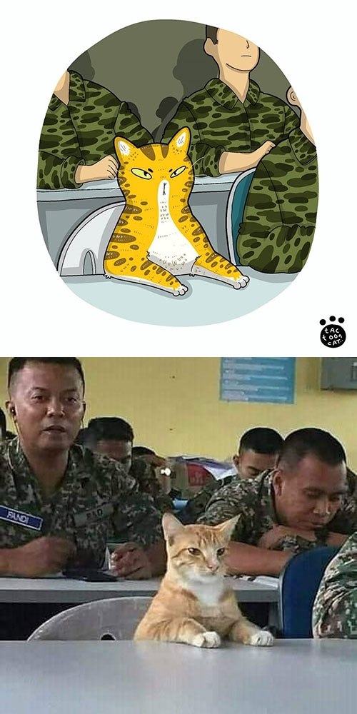       Tactooncat - 5