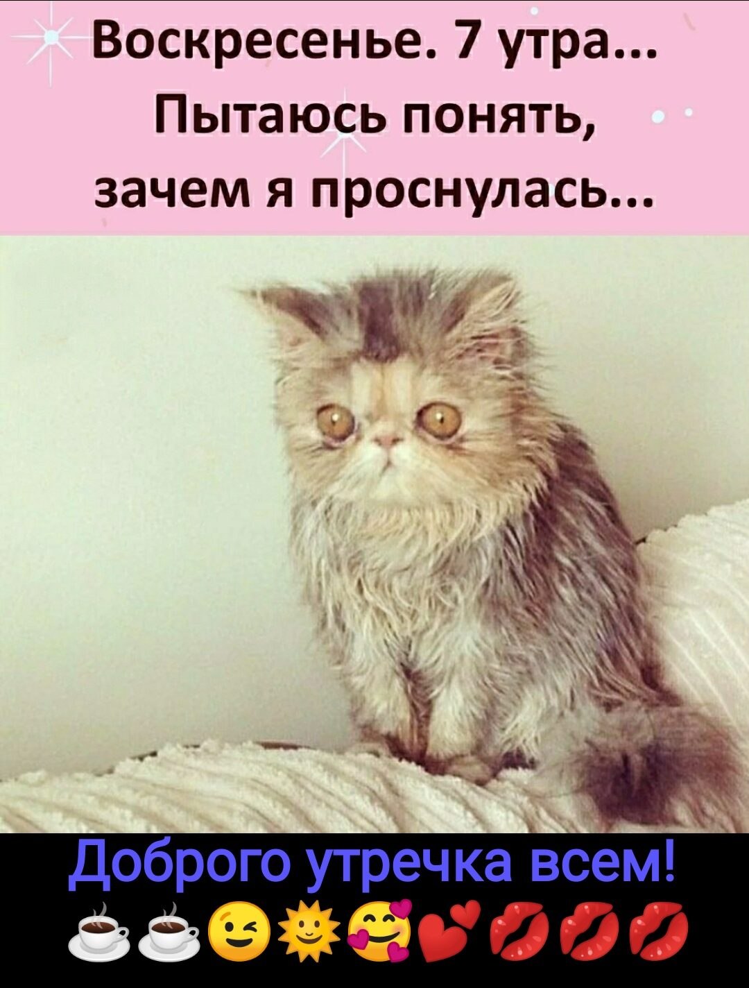 ***Victoria Viktorovna*** - 7  2021  04:33