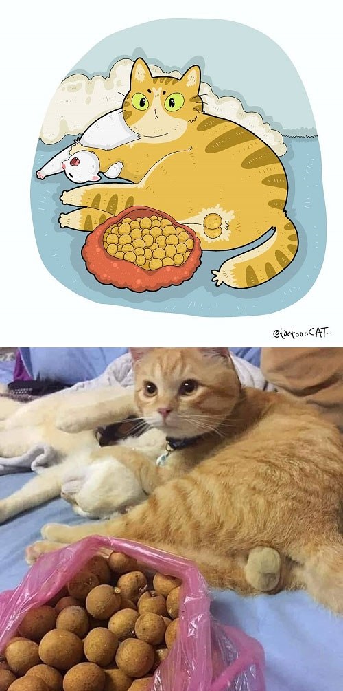       Tactooncat - 8