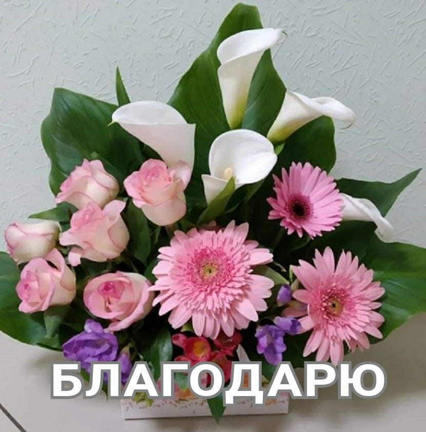   ,    . - 18  2020  21:32 - 9