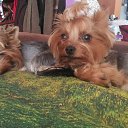 ���� �����, �������, 47 ��� - ��������� 4 ������ 2020 � ������ ��������ܻ