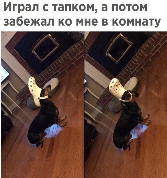 ? ,  ! - 24  2021  08:02