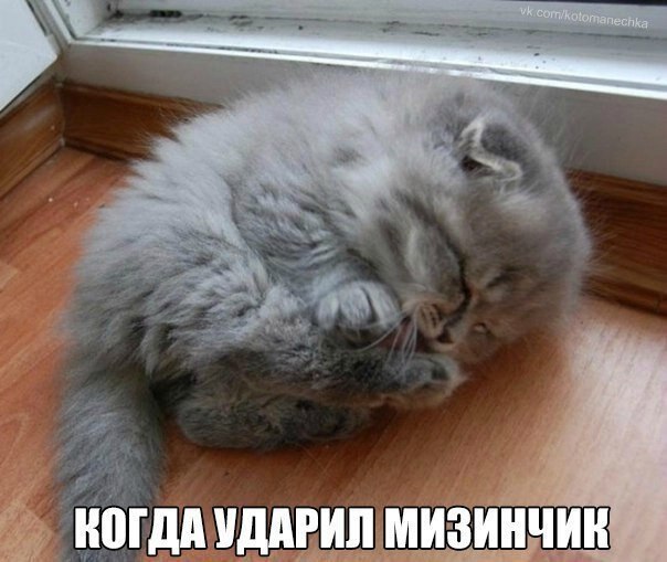    - 12  2021  12:17