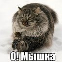���� Vovchik, ��������������, 50 ��� - ��������� 11 ������ 2020 � ������ ���� ����������
