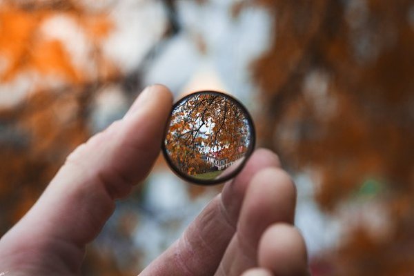 ПОЗДНЯЯ ЗРЕЛОСТЬ.Не для того ли мне поздняя зрелость,Чтобы, за сердце схватившись, оплакатьКаждого ...