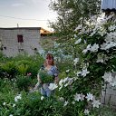 ���� A���������, �������� - ��������� 11 ������� 2020 � ������ ���������� ������