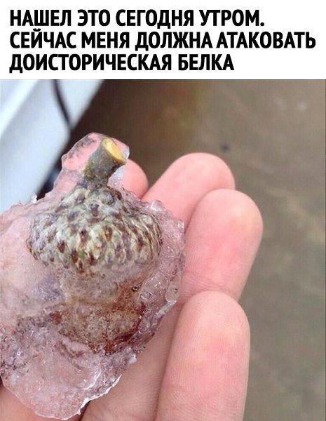   ...  : 