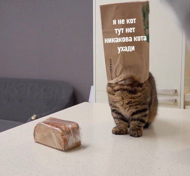  ,   ?    . 