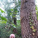 ���� Mitea, �����, 72 ���� - ��������� 6 ������� 2020 � ������ ���� ����������