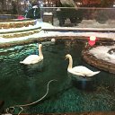 ���� �������, ������, 59 ��� - ��������� 25 ������� 2021 � ������ ���� ����������