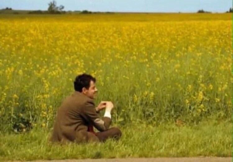 Примерно так я и решаю свои проблемы. Просто жду, когда пройдет время и всё само собой решится - 3