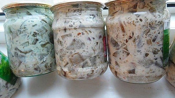 Баклажаны в майонезе со вкусом грибов. Обалденная штука! На 5 кг синих 800 гр любого майонеза, 1 ...