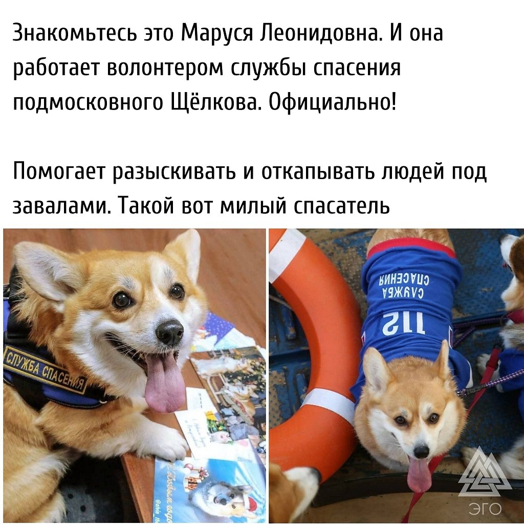     !)