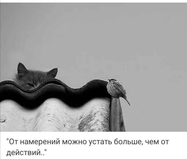 ***Victoria Viktorovna*** - 28  2021  04:47