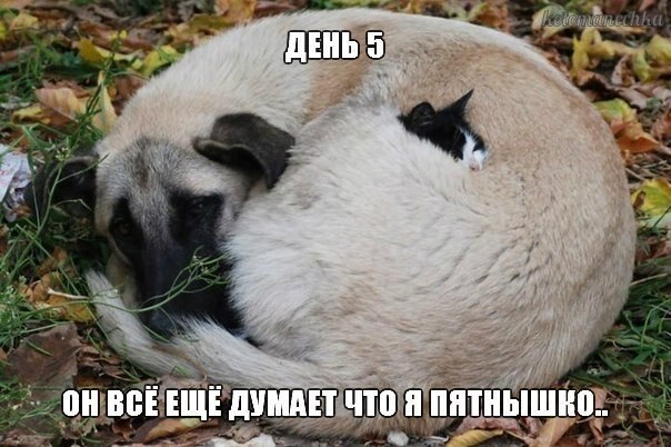    - 25  2020  20:19