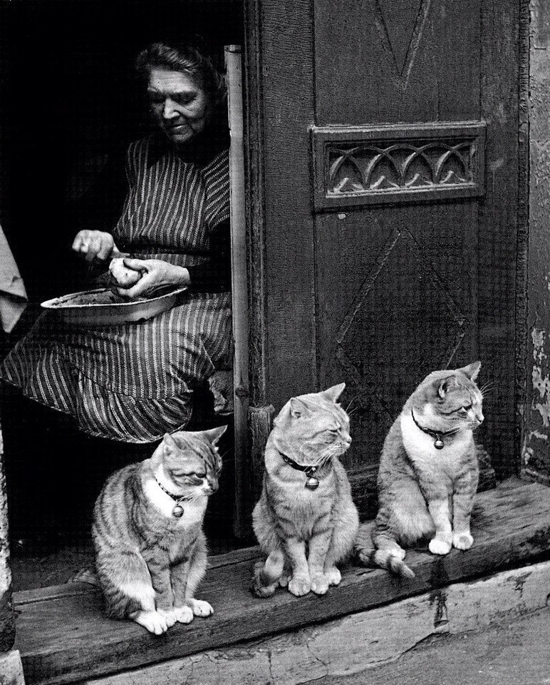  .....1950