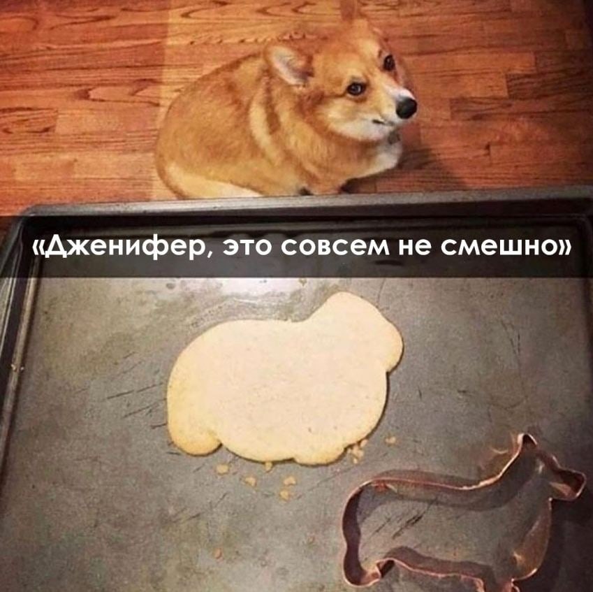 Похож? Ххх