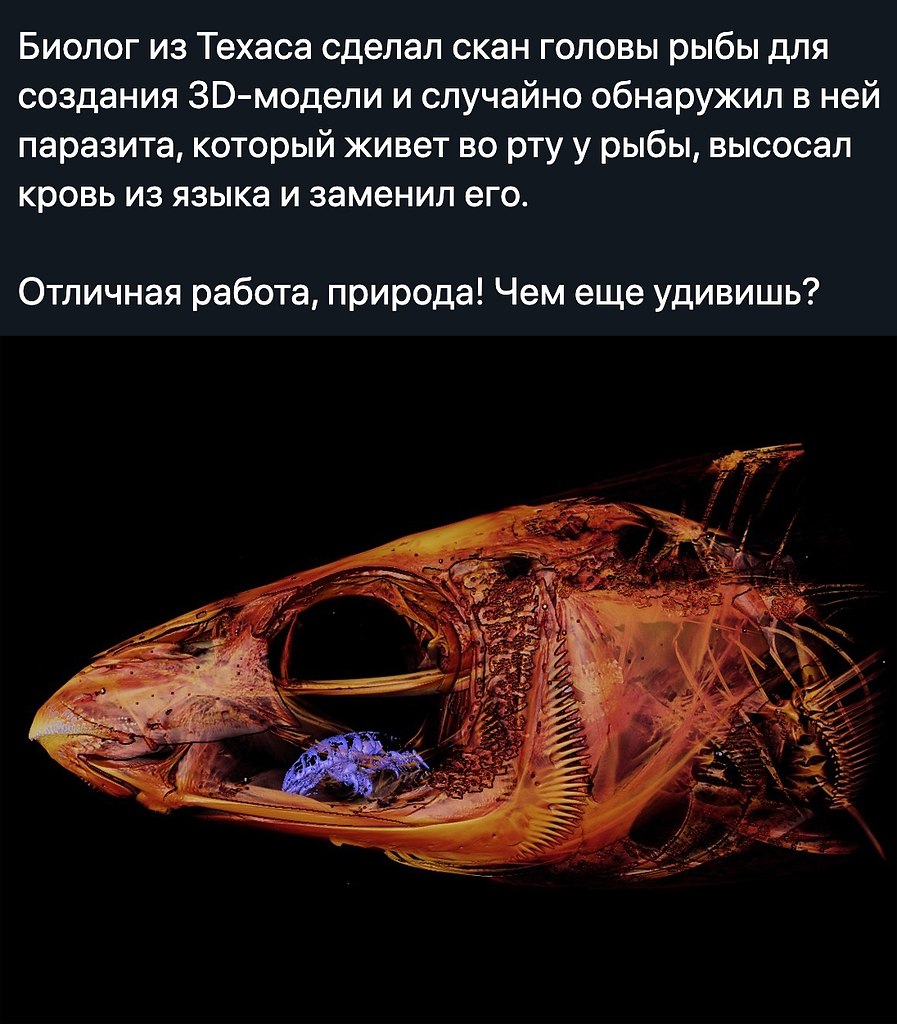    - 15  2020  18:57