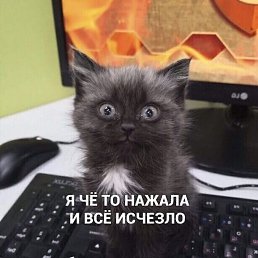 ���� �����, ������, 46 ��� - ��������� 1 ������� 2020