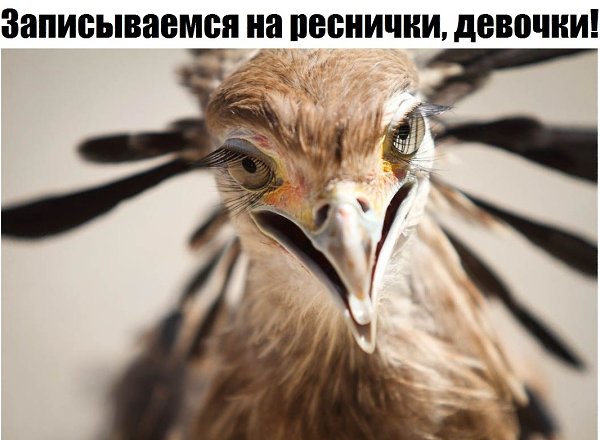 LIFE -  - 29  2021  19:50