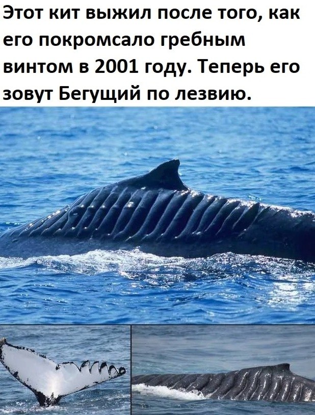 BEST | , ,  - 7  2020  19:55