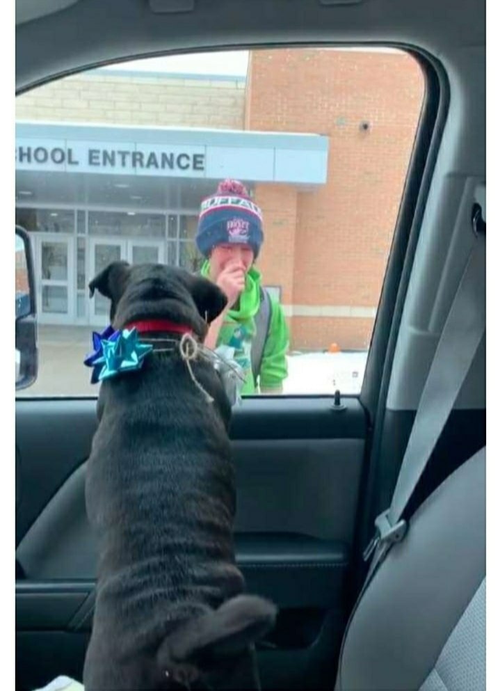    -  ,   .   , ... - 3