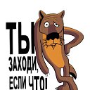  , --, 51  -  1  2021