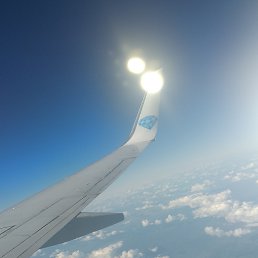 Olga, �����������