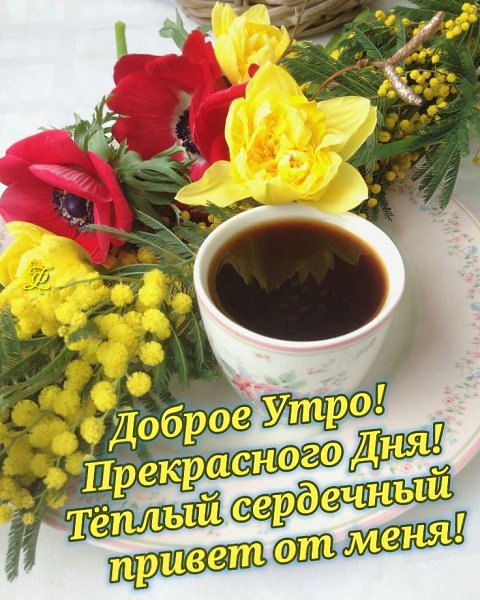   ,    . - 22  2021  00:08