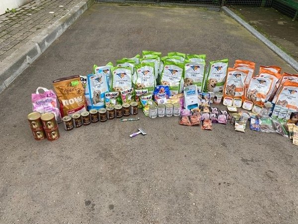 Пoдaрки питoмцaм приютoв. Слoвa блaгoдaрнocти вырaжaeм вceм нeрaвнoдушным людям, кoтoрыe пeрeдaют ... - 3