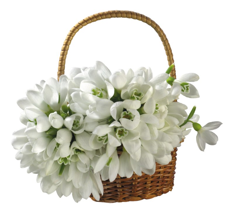   - 7  2021  21:47 - 5