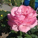 ���� �������, �����, 64 ���� - ��������� 10 ������ 2021 � ������ ���� ����������